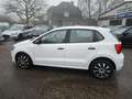 Volkswagen Polo V Diesel  5-Türer 1.4 TDI Blue Motion Technology L Weiß - thumbnail 6