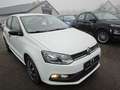 Volkswagen Polo V Diesel  5-Türer 1.4 TDI Blue Motion Technology L Weiß - thumbnail 3