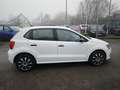 Volkswagen Polo V Diesel  5-Türer 1.4 TDI Blue Motion Technology L Weiß - thumbnail 7