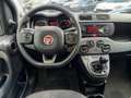 Fiat Panda 1.0 hybrid 5 posti Grau - thumbnail 14