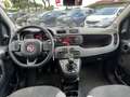 Fiat Panda 1.0 hybrid 5 posti Grau - thumbnail 11