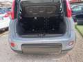 Fiat Panda 1.0 hybrid 5 posti Grau - thumbnail 4