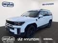 Hyundai SANTA FE 1.6 T-GDI Hybrid 176 kW 4WD Blackline EU6e Weiß - thumbnail 1