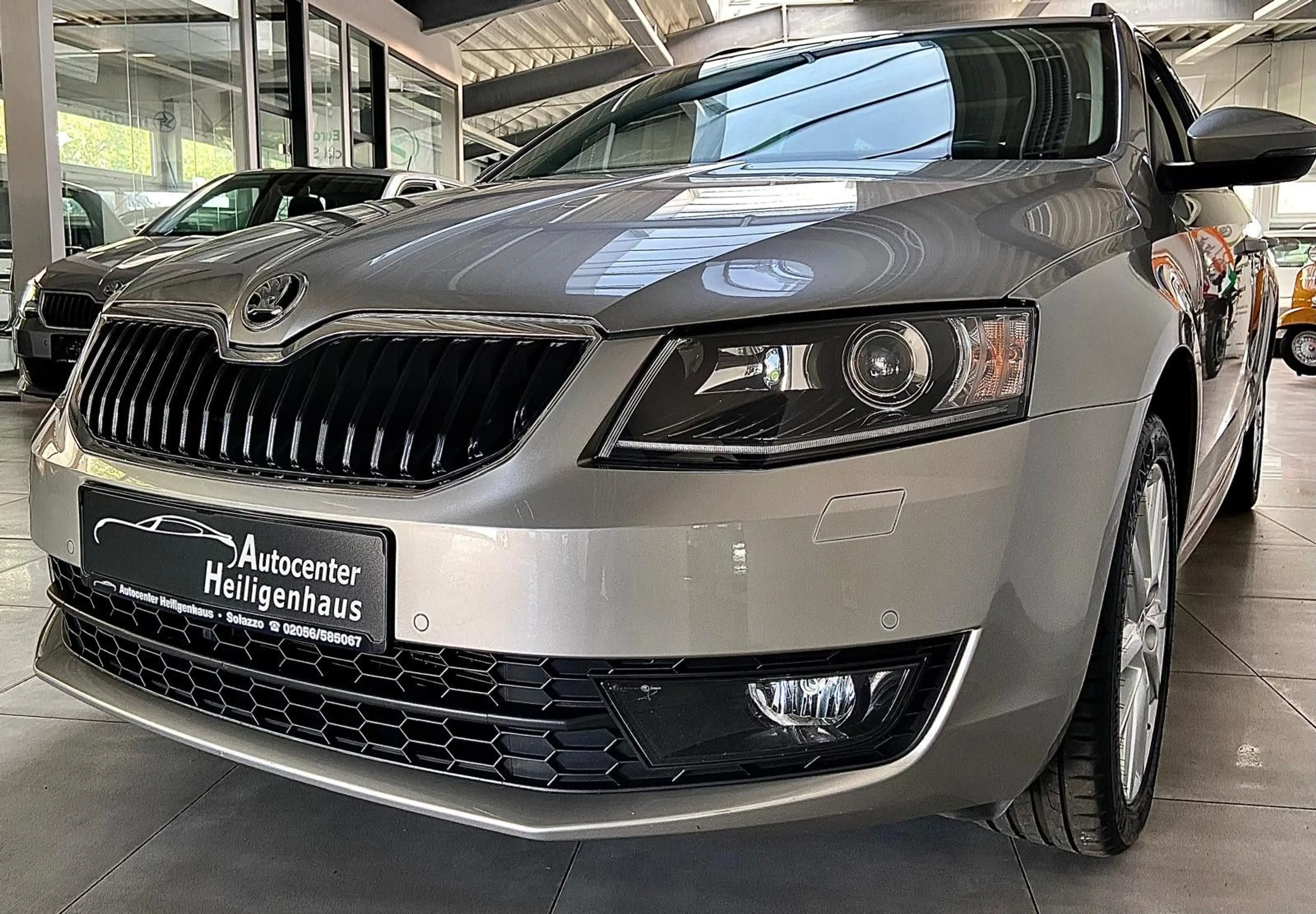 Skoda Octavia Joy Canton Navi Panorama Xenon DCC — photo 10
