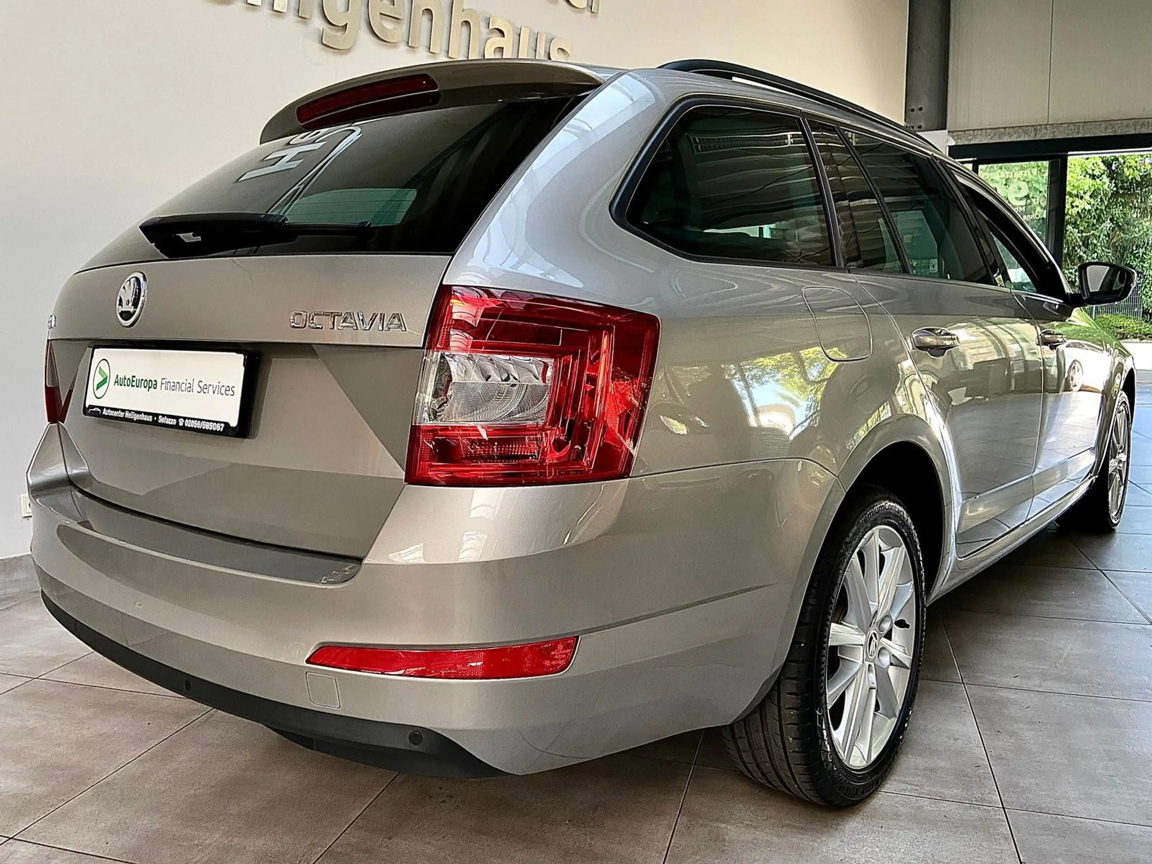 Skoda Octavia Joy Canton Navi Panorama Xenon DCC — photo 4