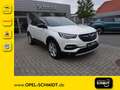 Opel Grandland Grandland 1,5 CDTI 2020 - thumbnail 1