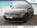 Volkswagen Golf Variant Golf VIII Variant 2.0 TSI R-Line DSG Navi Kamera Grau - thumbnail 1