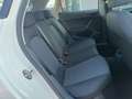SEAT Ibiza Ibiza V 2017 1.6 tdi Business 80cv - thumbnail 11