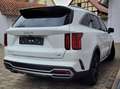 Kia Sorento Platinum Standheizung AHK Panoramadach Allrad Alb - thumbnail 1