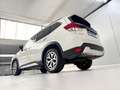 Subaru Forester 2.0i Hybrid Executive CVT Blanco - thumbnail 22