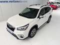 Subaru Forester 2.0i Hybrid Executive CVT Blanco - thumbnail 20