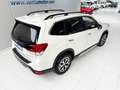 Subaru Forester 2.0i Hybrid Executive CVT Blanco - thumbnail 21