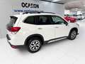 Subaru Forester 2.0i Hybrid Executive CVT Blanco - thumbnail 4