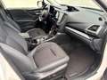 Subaru Forester 2.0i Hybrid Executive CVT Blanco - thumbnail 9