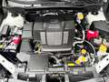 Subaru Forester 2.0i Hybrid Executive CVT Blanco - thumbnail 18