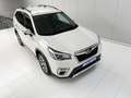 Subaru Forester 2.0i Hybrid Executive CVT Blanco - thumbnail 19