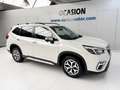 Subaru Forester 2.0i Hybrid Executive CVT Blanco - thumbnail 3