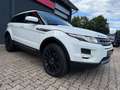 Land Rover Range Rover Evoque Pure*Led* bijela - thumbnail 2