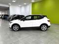 SEAT Arona 1.0 TSI S&S FR DSG7 XM 115 Blanco - thumbnail 8