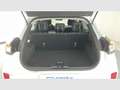 Ford Puma 1.0 EcoBoost MHEV Titanium 125 Blanco - thumbnail 14
