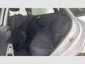 Ford Puma 1.0 EcoBoost MHEV Titanium 125 Blanco - thumbnail 13