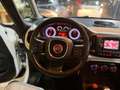 Fiat 500L 500L 2012 1.3 mjt Pop Star 85cv Blanc - thumbnail 12