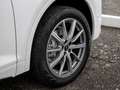 Audi Q5 Sportback 40 TDI quattro S line AHK STHZG Weiß - thumbnail 5