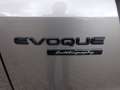 Land Rover Range Rover Evoque D200 Autobiography Panorama Braun - thumbnail 14