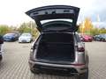 Land Rover Range Rover Evoque D200 Autobiography Panorama Braun - thumbnail 11