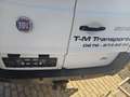 Fiat Scudo L2H1, 270/ZXL1B/WAL Weiß - thumbnail 15