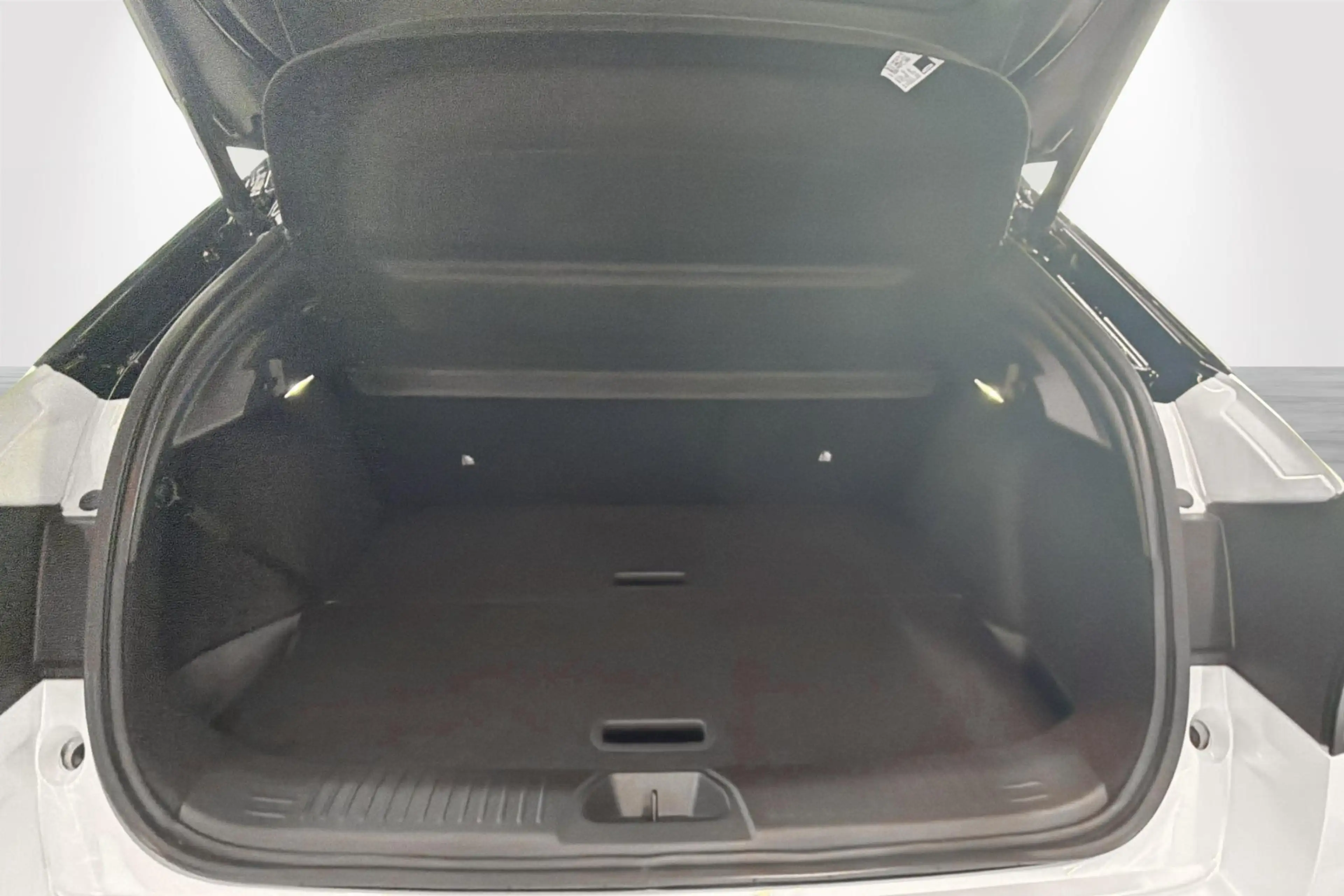 Nissan Leaf Evolve 75kWh — photo 10
