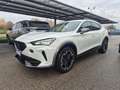 CUPRA Formentor 1.5 TSI 150cv DSG Bianco - thumbnail 3