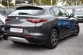 Alfa Romeo Stelvio 2.2 Turbodiesel 160 CV AT8 RWD Super Business Grigio - thumbnail 3