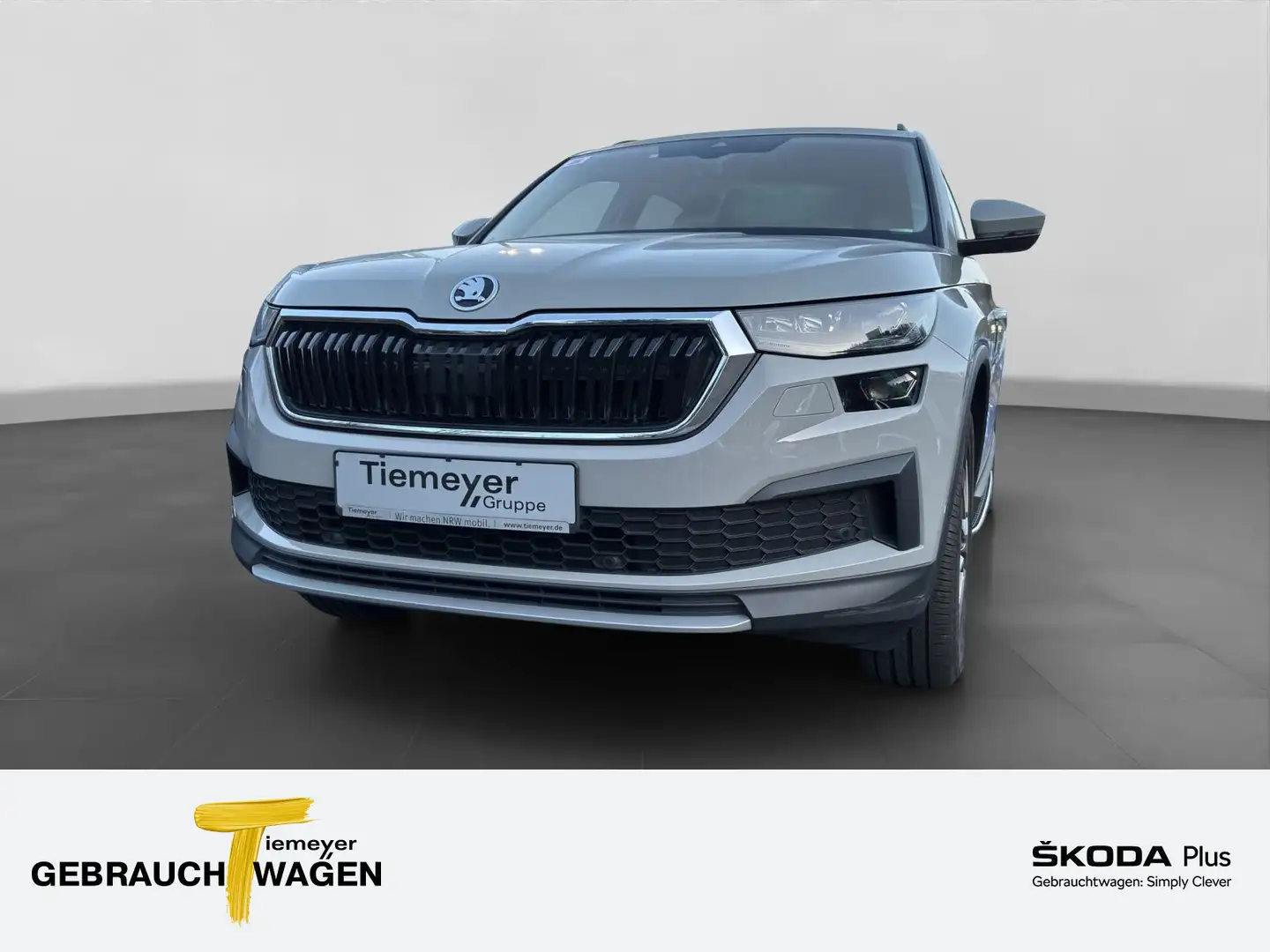 Skoda Kodiaq 1.5 TSI DSG AMBITION MATRIX AHK LM19 SMAR Grau - 1