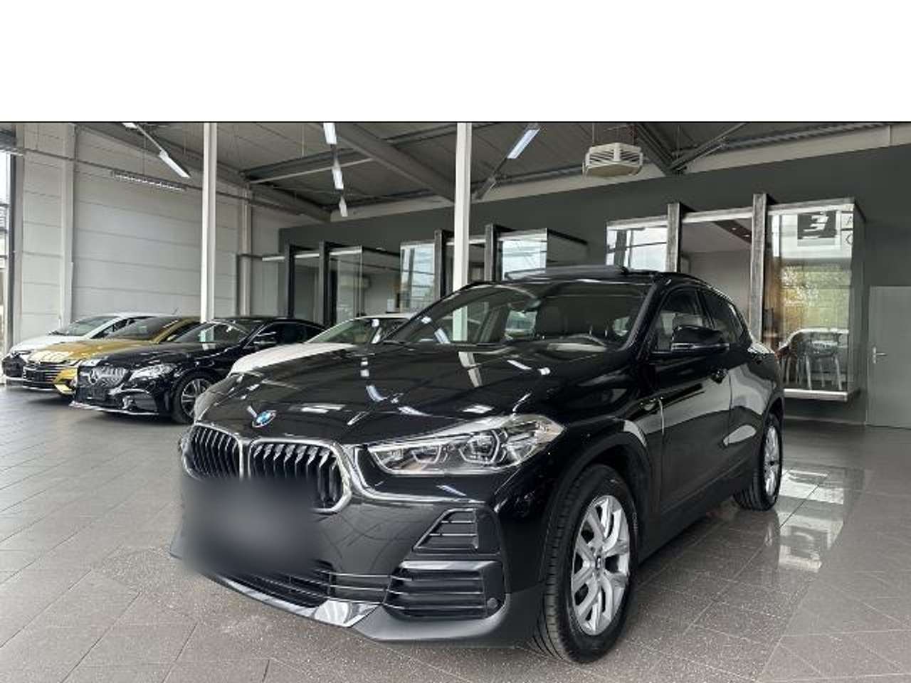 BMW-X2-sDrive20d Advantage Plus LED Navi Pano. R.Cam