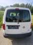 Volkswagen Caddy Caddy Kombi 2,0 TDI Weiß - thumbnail 8
