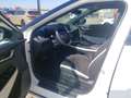 Kia EV6 77.4 AWD GT-LINE WP GD ASS+ SND DES ALLWETTER Weiß - thumbnail 5