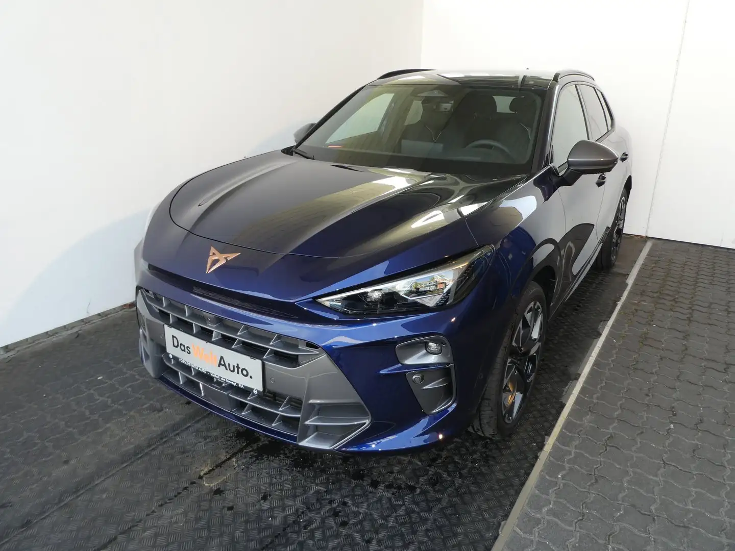 CUPRA Terramar 2.0 TSI 204 PS DSG 4Drive Blau - 1
