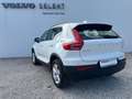 Volvo XC40 XC40 1.5 t3 geartronic my20 Weiß - thumbnail 5