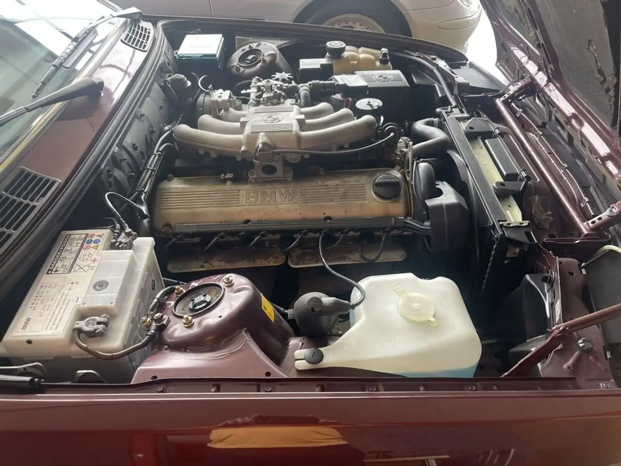 BMW 320 i Cabrio Sportsitze Nebelscheinwerfer, foto 11