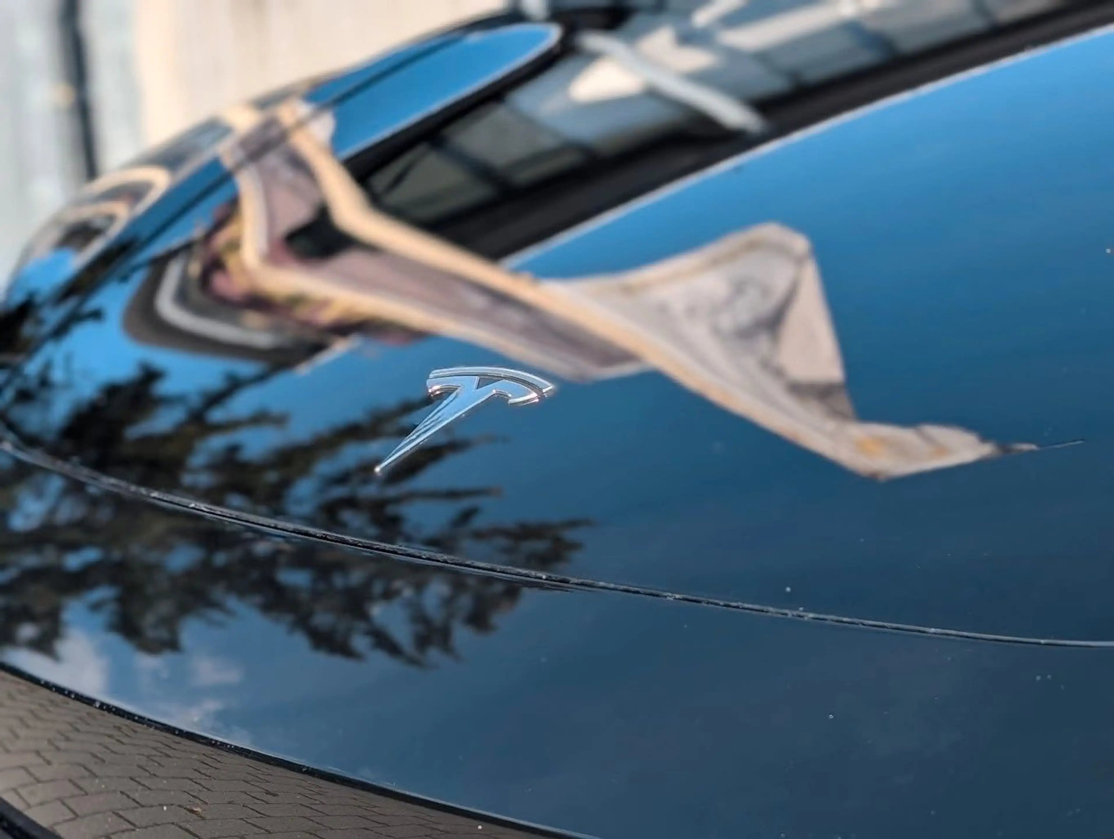 Tesla Model 3 Ambiente. Glasdach. LED — photo 10