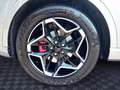 Ford Kuga 1.5 ST-LINE X *WinterPk*19Zoll* Argent - thumbnail 16