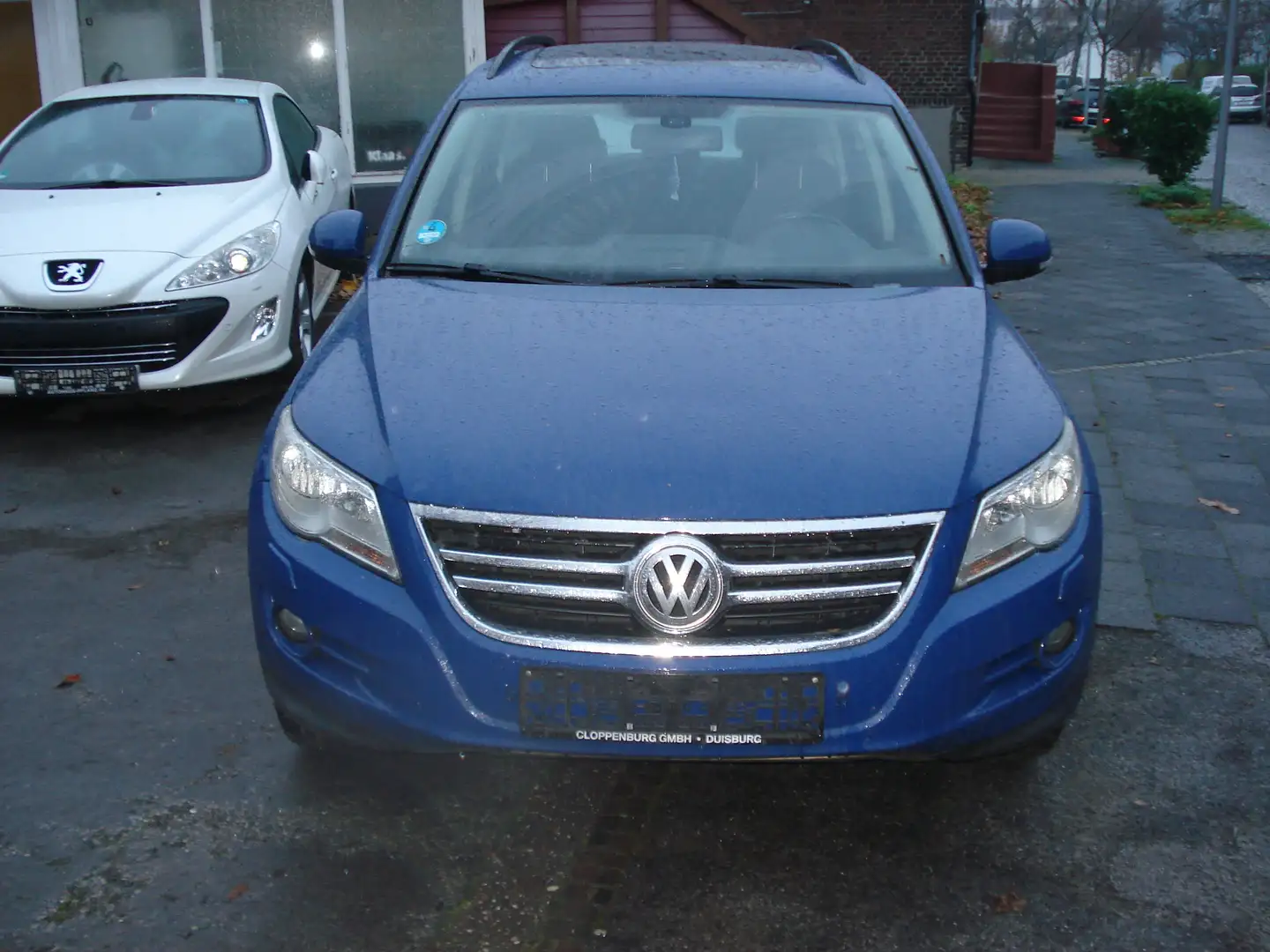 Volkswagen Tiguan Track | Automatik - Zahnr. gemacht- gepfl. Blau - 2