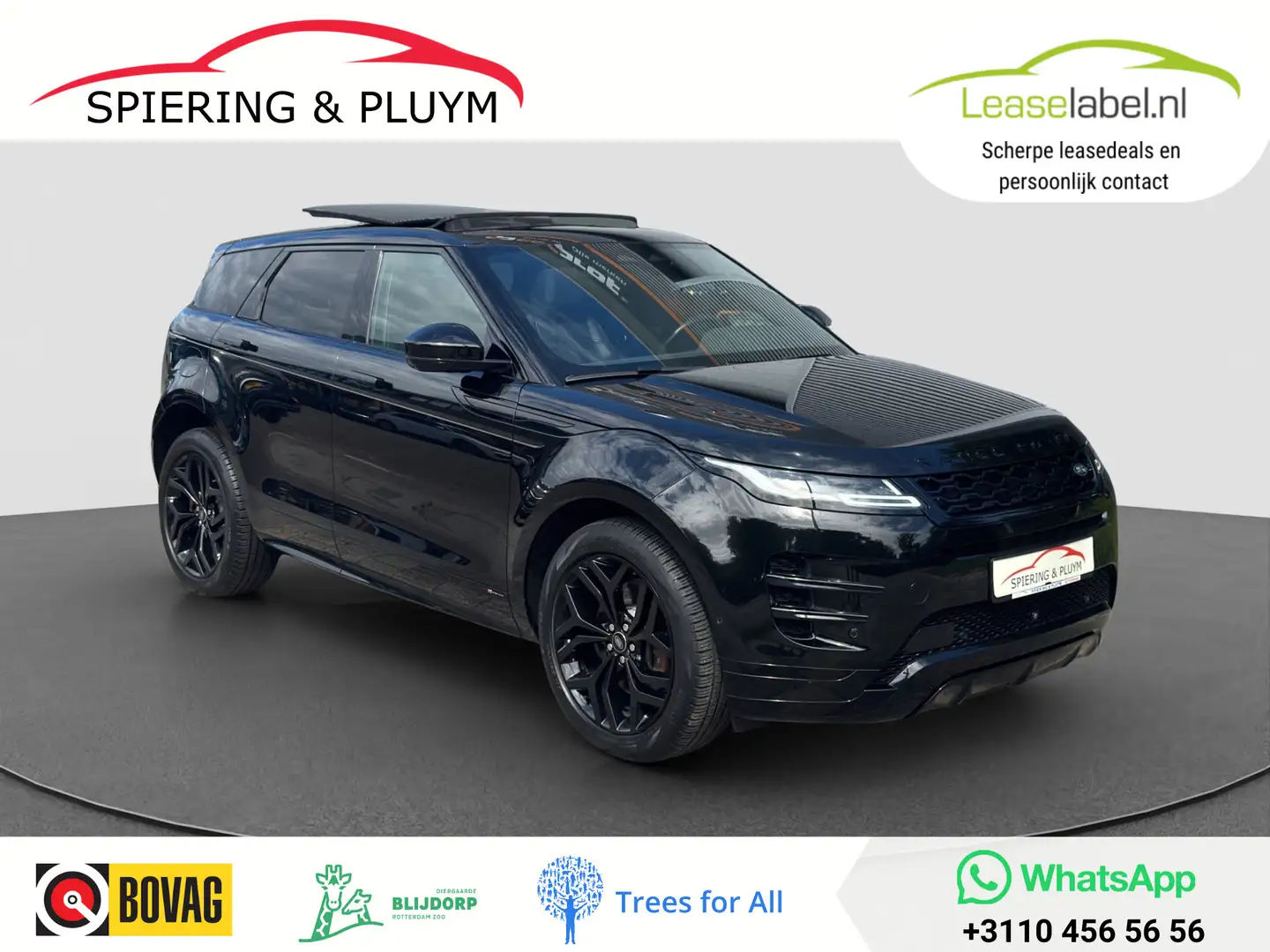 Land Rover Range Rover Evoque 1.5 P300e AWD R-Dynamic SE | Pano | Meridian | Led Wit - 1