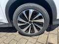 BYD Seal U U DMi 1.5 218 CV PHEV Boost Blanco - thumbnail 7