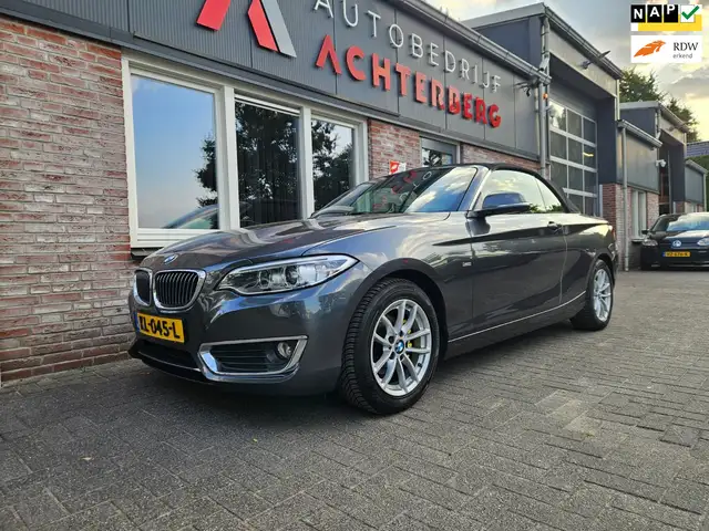 BMW 218 2-serie Cabrio 218i Executive Automaat! NAP! Leer!