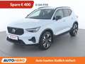 Volvo XC40 2.0 B3 Mild-Hybrid Plus Dark 2WD Weiß - thumbnail 1