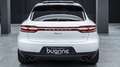 Porsche Macan 2.0 245CV PDK TETTO APR. CHRONO SCARICO PELLE LED Weiß - thumbnail 6