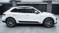 Porsche Macan 2.0 245CV PDK TETTO APR. CHRONO SCARICO PELLE LED Weiß - thumbnail 5