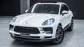 Porsche Macan 2.0 245CV PDK TETTO APR. CHRONO SCARICO PELLE LED Weiß - thumbnail 1